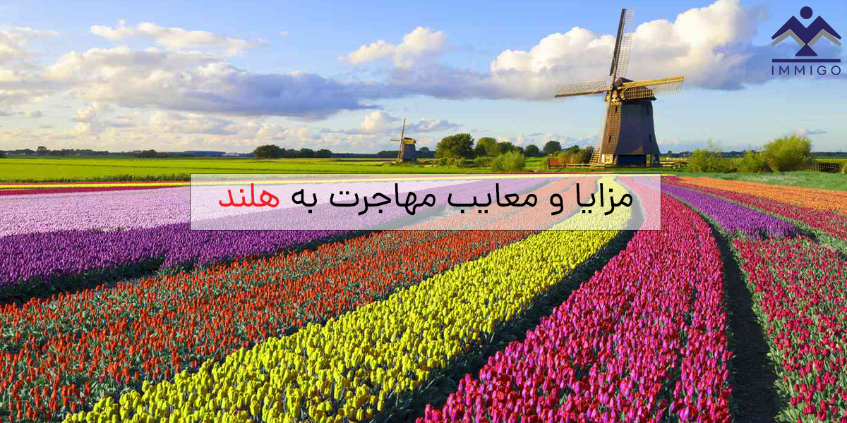 مزایا و معایب مهاجرت به هلند